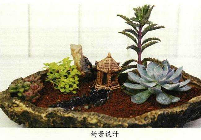 如何做出有视觉美感的多肉造型