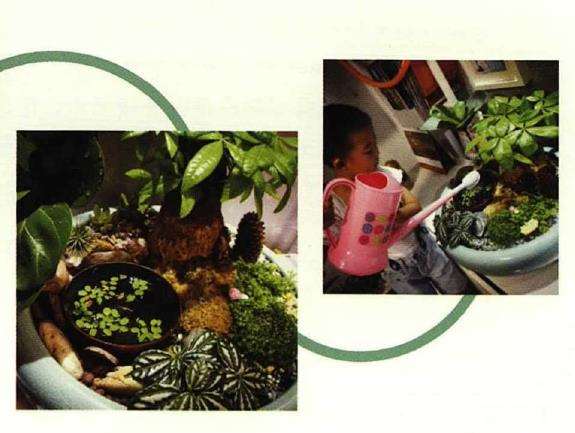 古往今来 养花爱花之人不甚枚数 图片