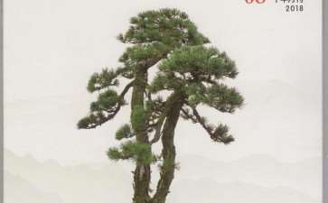 工作以后 再次看到《花木盆景》杂志