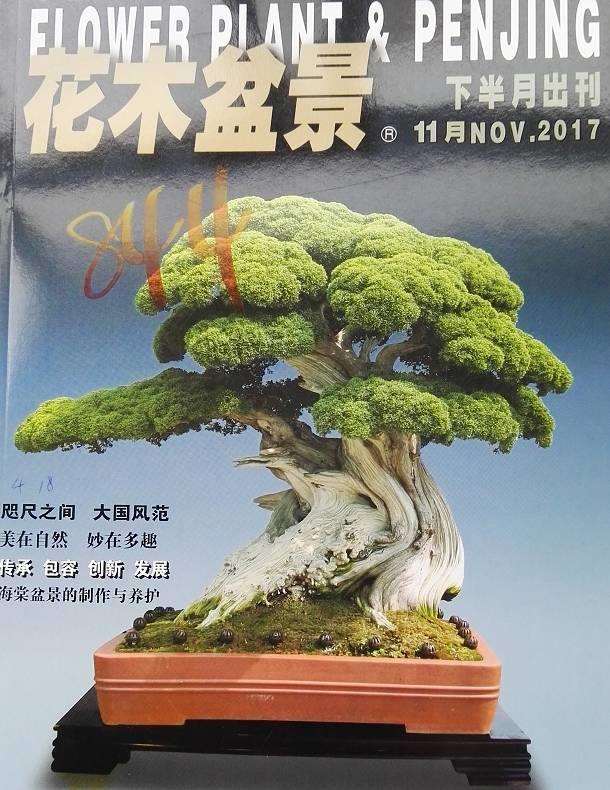 《花木盆景》杂志是生命里最重要的东西