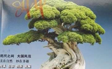 《花木盆景》杂志是生命里最重要的东西