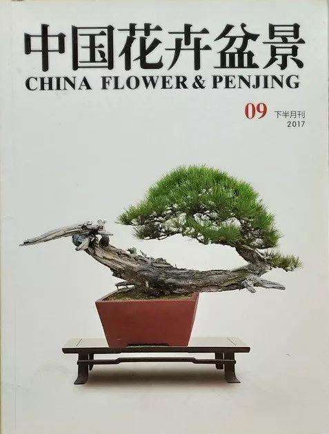 永远的老师&mdash;&mdash;《花木盆景》杂志