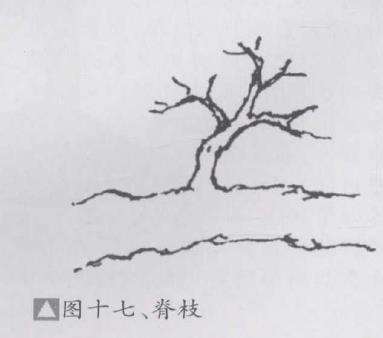 图解 盆景不良枝的5个形态是什么