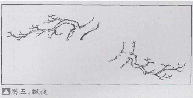 盆景优良枝的10个形态是什么