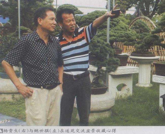 苏州杨贵生盆景遂苑园 图片