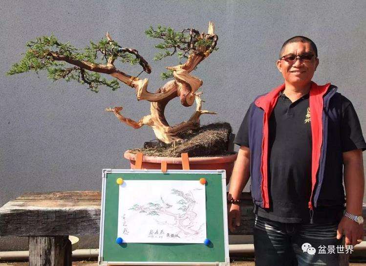 台湾盆景艺术大师郑诚恭专程前往湖北钟祥