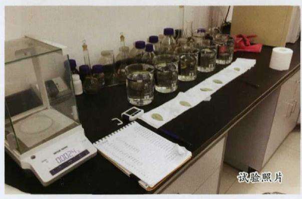 武汉市海绵城市建设怎么选择园林植物