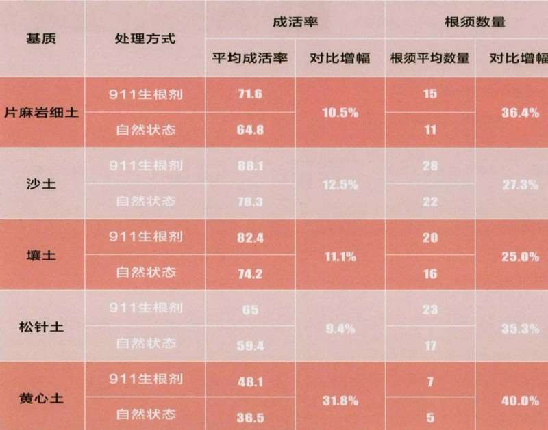 映山红怎么嫩枝扦插繁殖的3个效果分析