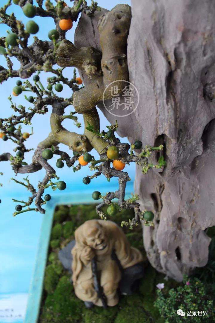 广州盆景艺术大师 黄就成 图片