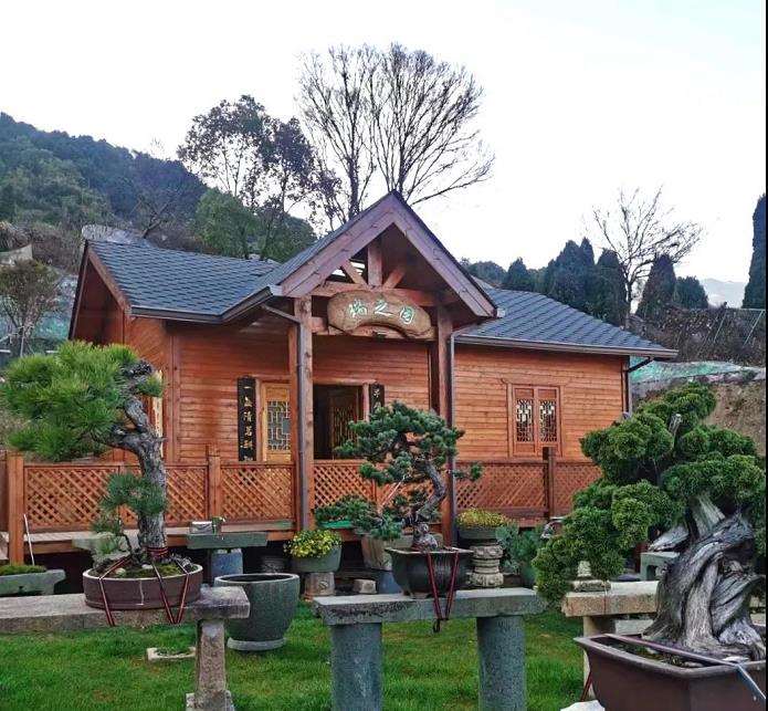 温州松树盆景艺术已有近千年的历史