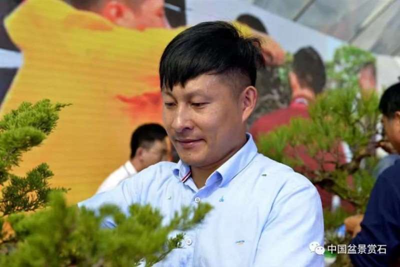 图解 2021任天明盆景现场制作表演