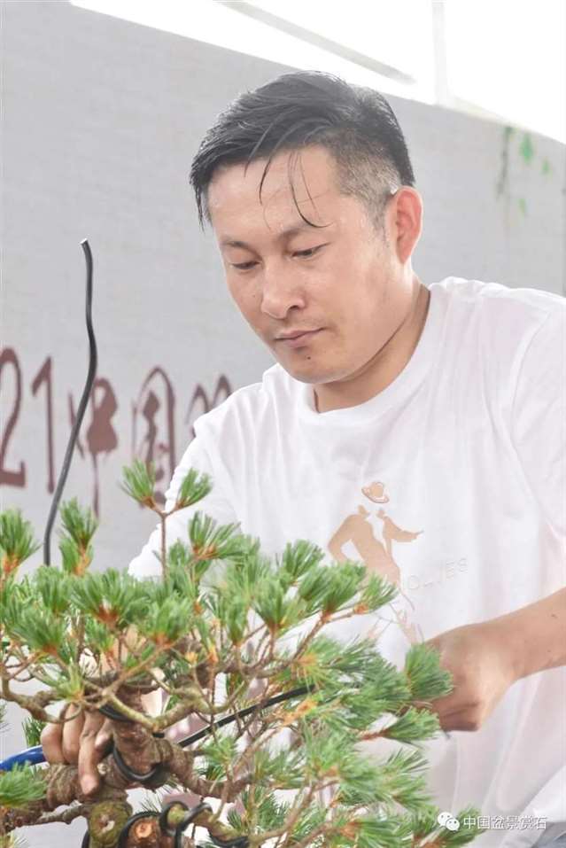 图解 2021任天明盆景现场制作表演