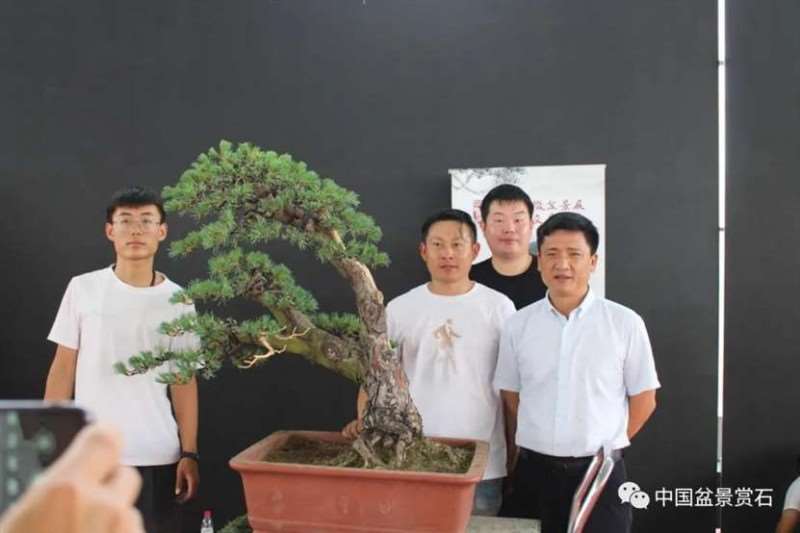 图解 2021任天明盆景现场制作表演