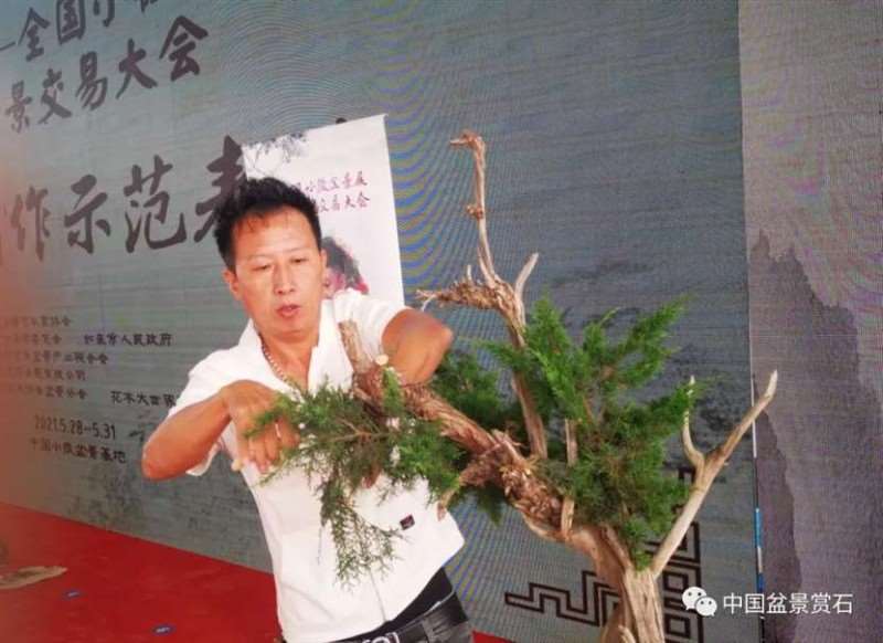图解 2021李国宾盆景现场制作表演