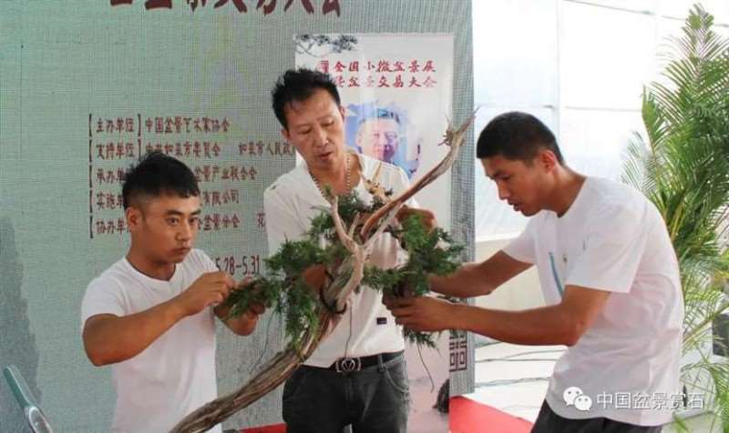 图解 2021李国宾盆景现场制作表演