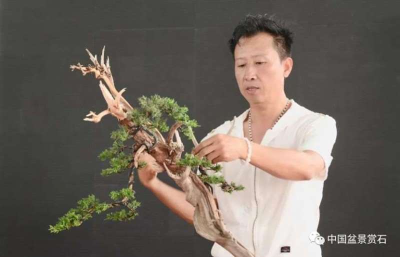 图解 2021李国宾盆景现场制作表演