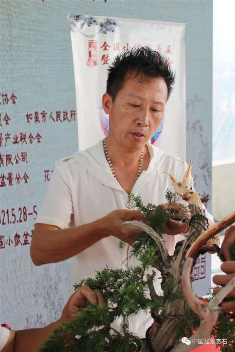 图解 2021李国宾盆景现场制作表演