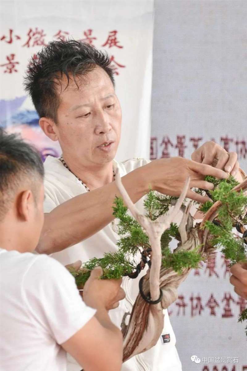 图解 2021李国宾盆景现场制作表演
