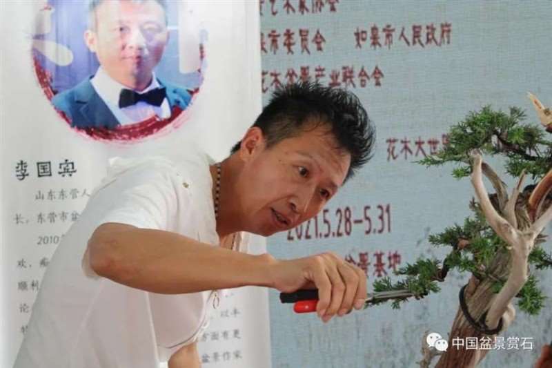 图解 2021李国宾盆景现场制作表演