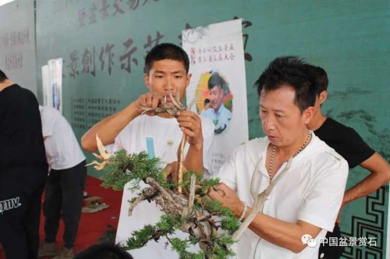 图解 2021李国宾盆景现场制作表演