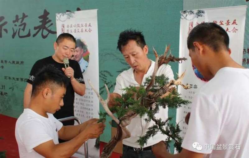 图解 2021李国宾盆景现场制作表演