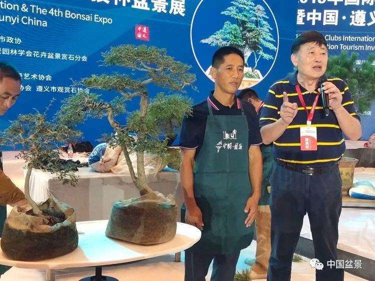 图解 张志刚现场制作水旱盆景的13个过程