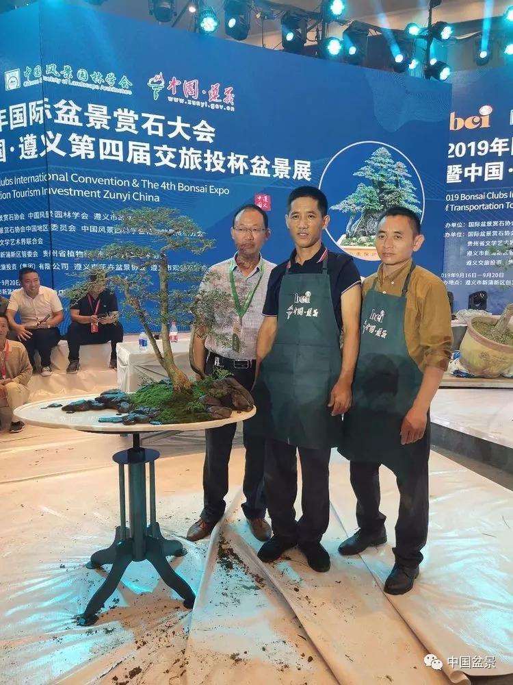 图解 张志刚现场制作水旱盆景的13个过程