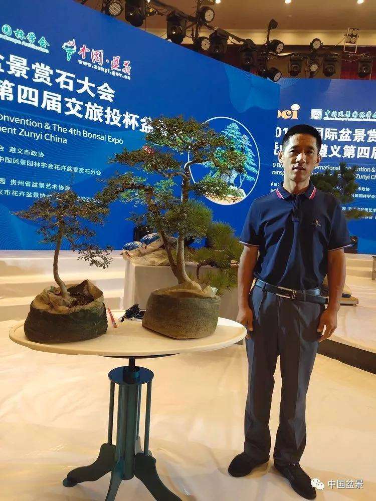 图解 张志刚现场制作水旱盆景的13个过程