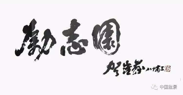 图解 张志刚现场制作水旱盆景的13个过程