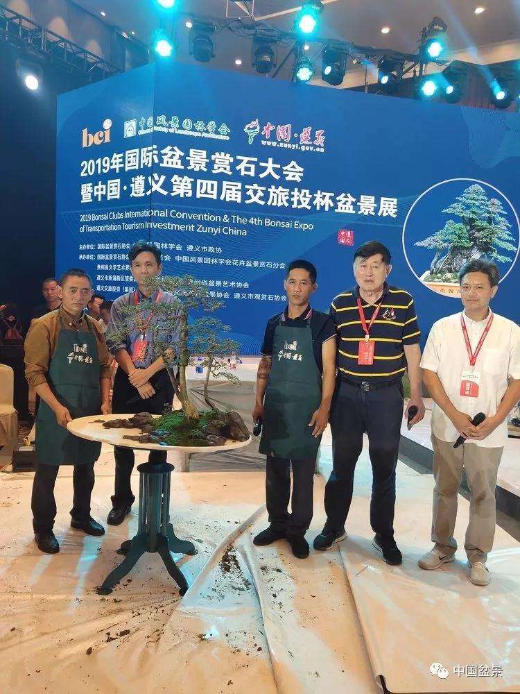 图解 张志刚现场制作水旱盆景的13个过程