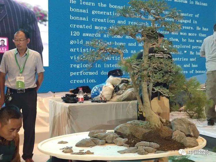 图解 张志刚现场制作水旱盆景的13个过程