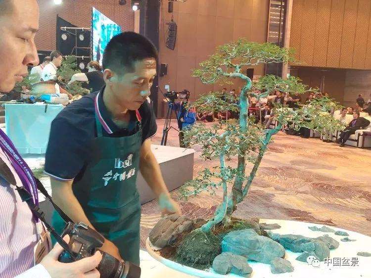 图解 张志刚现场制作水旱盆景的13个过程