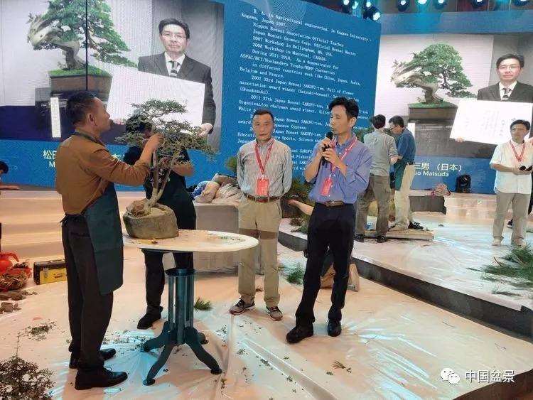 图解 张志刚现场制作水旱盆景的13个过程