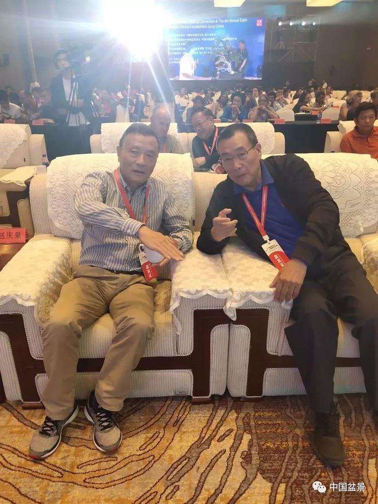 图解 张志刚现场制作水旱盆景的13个过程