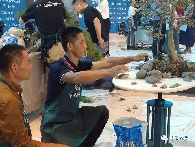 图解 张志刚现场制作水旱盆景的13个过程