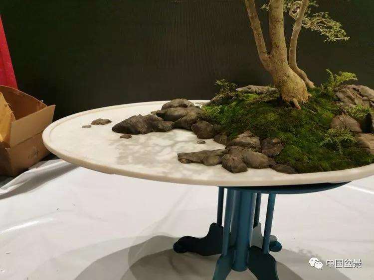 图解 张志刚现场制作水旱盆景的13个过程