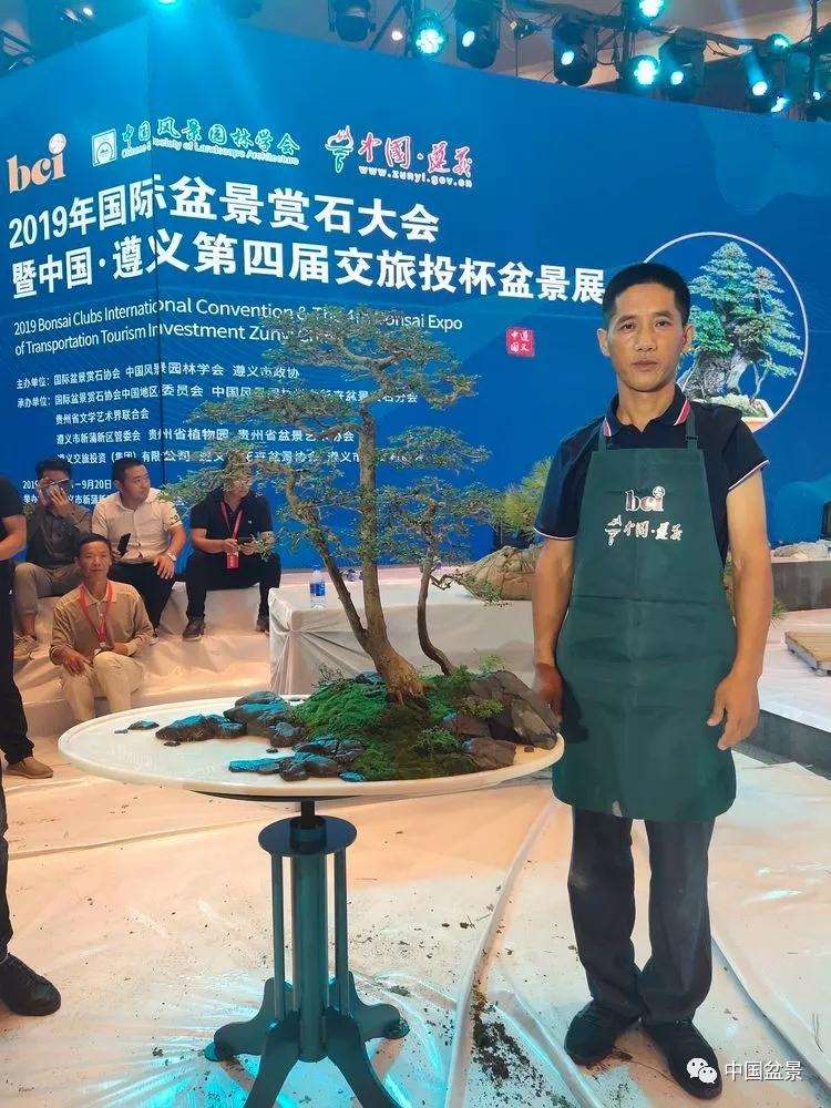 图解 张志刚现场制作水旱盆景的13个过程