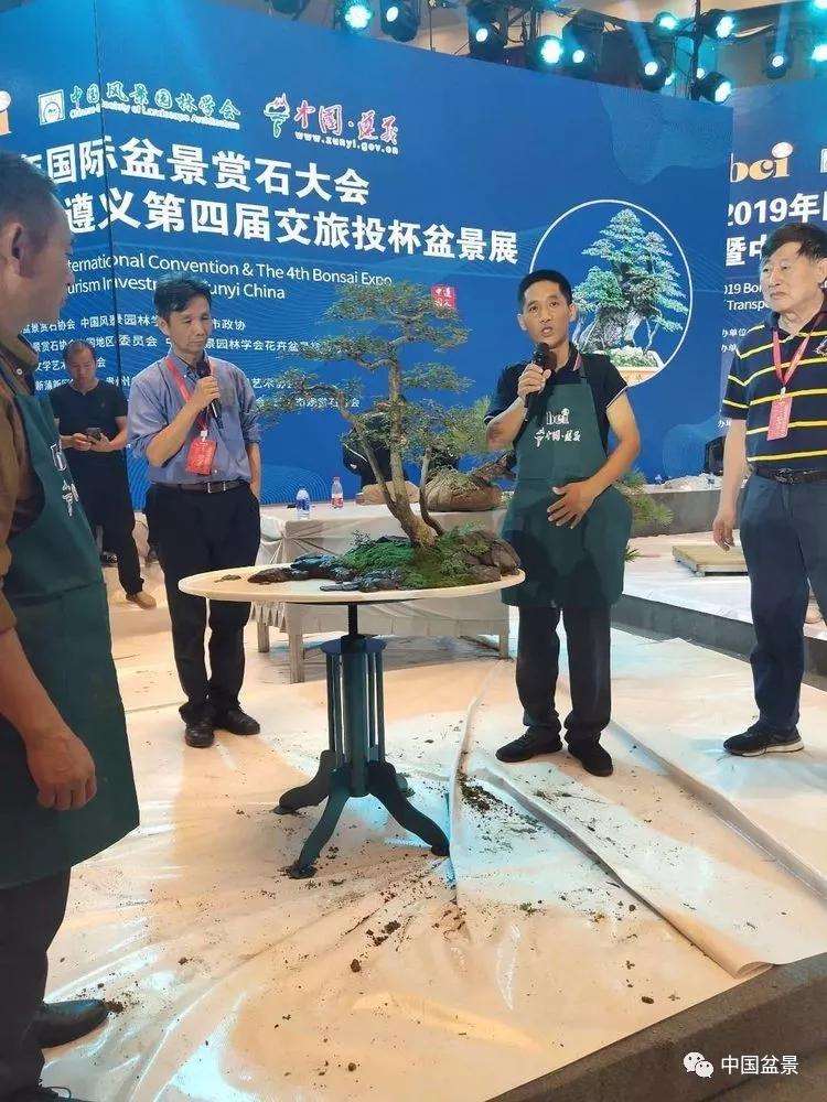 图解 张志刚现场制作水旱盆景的13个过程