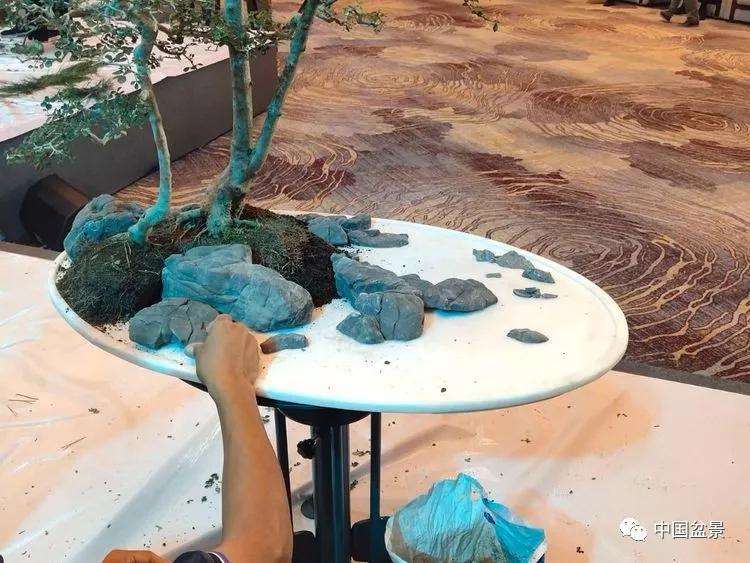 图解 张志刚现场制作水旱盆景的13个过程