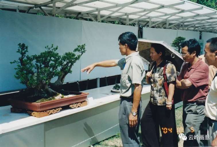 2020年 云南省盆景赏石协会发展记