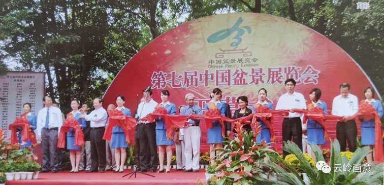 2020年 云南省盆景赏石协会发展记