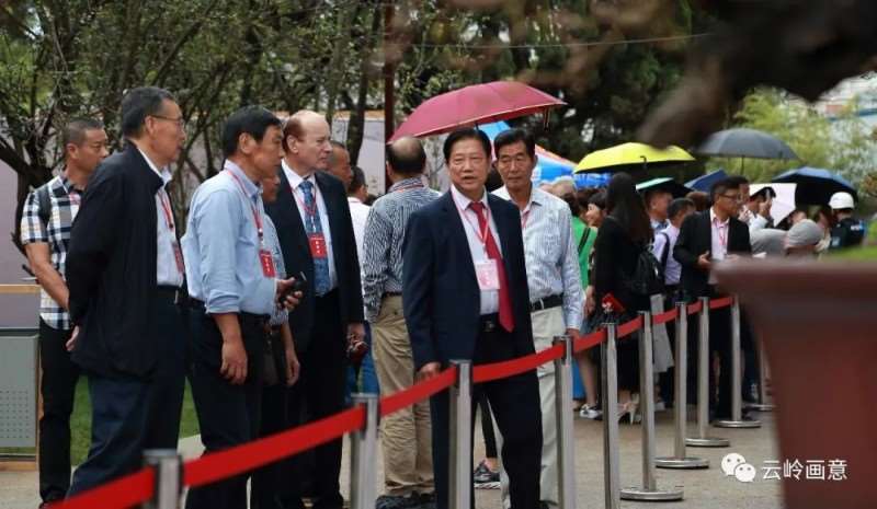 2020年 云南省盆景赏石协会发展记