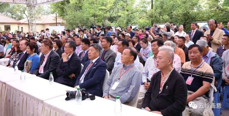 2020年 云南省盆景赏石协会发展记