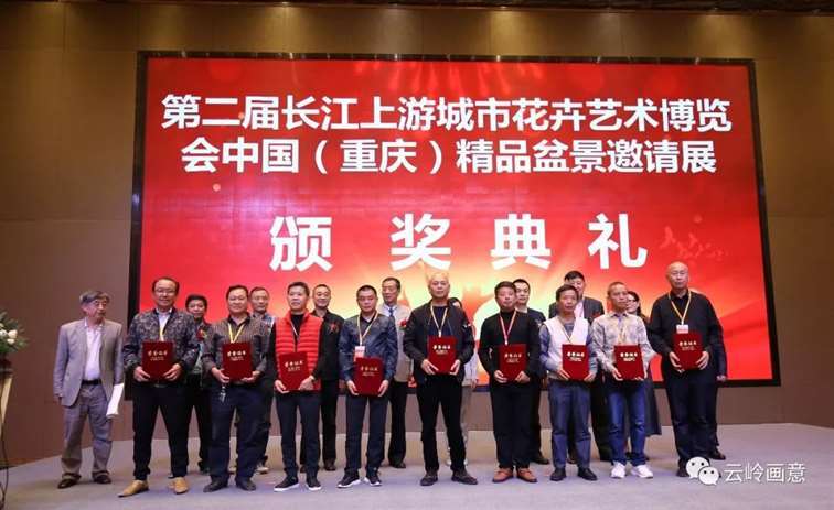 2020年 云南省盆景赏石协会发展记