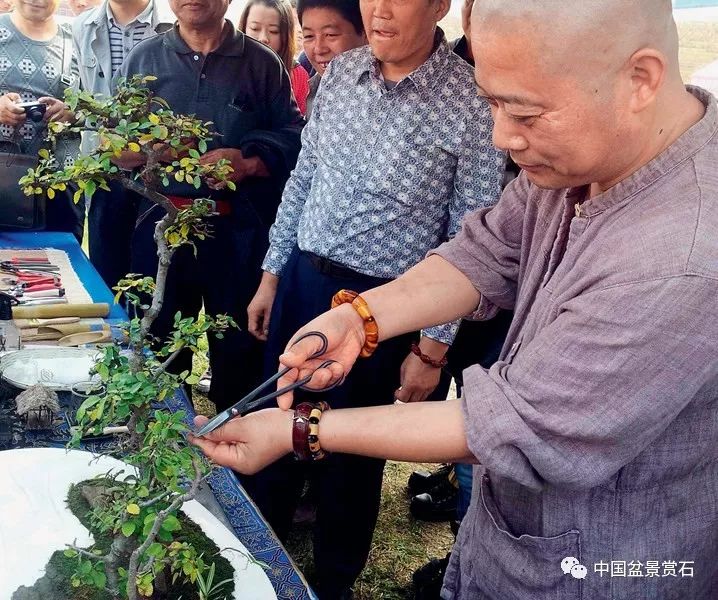 图解 张夷现场制作砚式盆景的12个过程