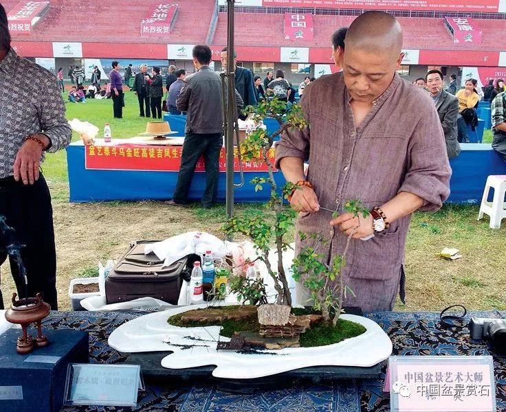图解 张夷现场制作砚式盆景的12个过程