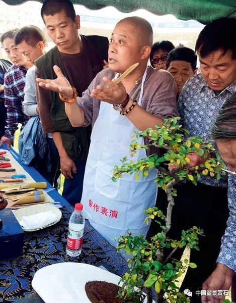 图解 张夷现场制作砚式盆景的12个过程