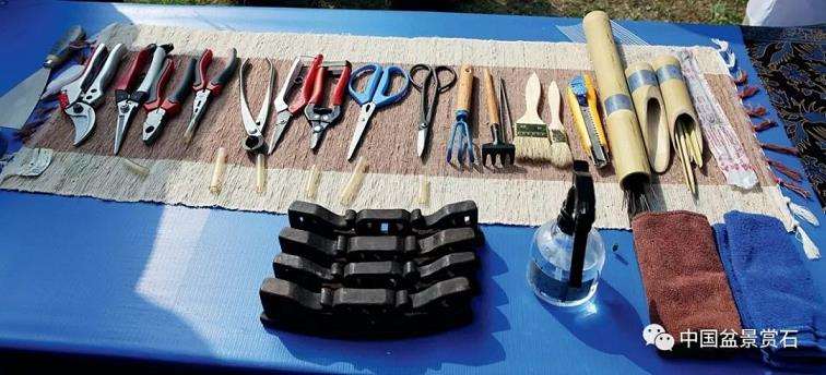 图解 张夷现场制作砚式盆景的12个过程