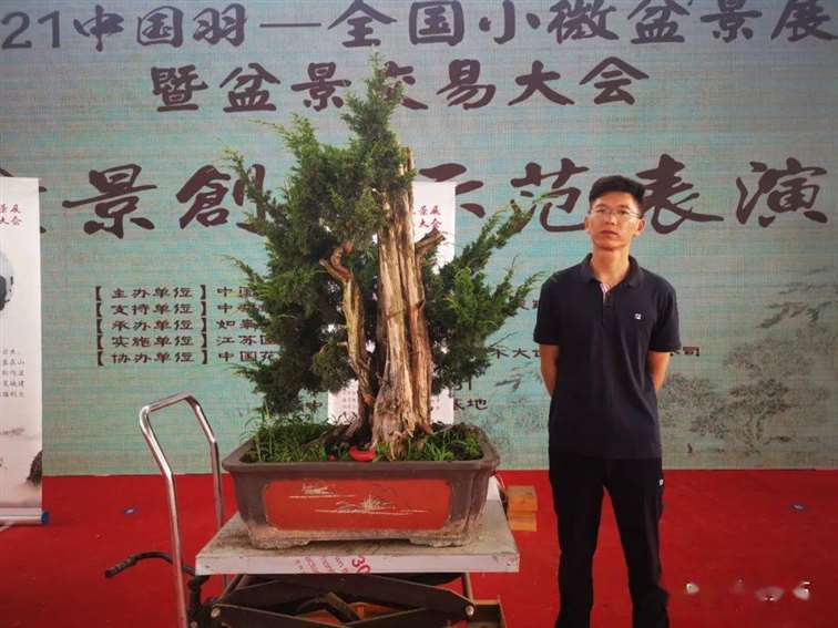 图解 杨建怎么制作真柏盆景的18个过程