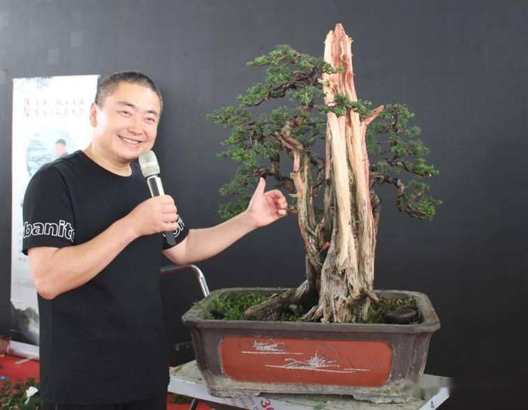 图解 杨建怎么制作真柏盆景的18个过程